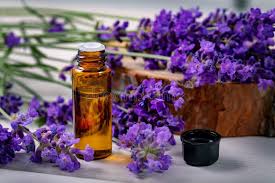 Lavender Essential Oil