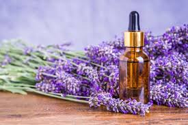 Lavender Essential Oil